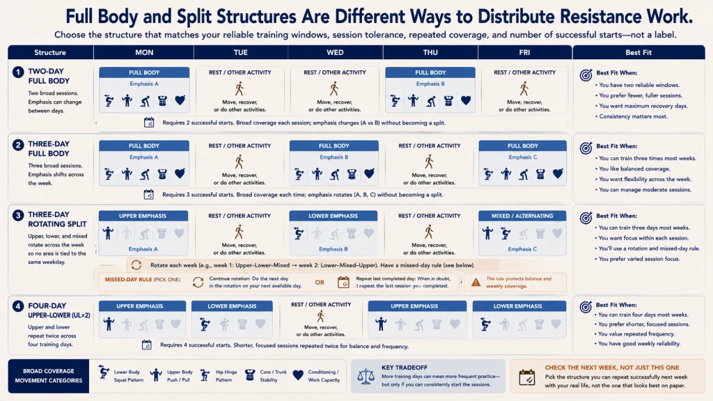 Four Full Body and Split Weekly Examples